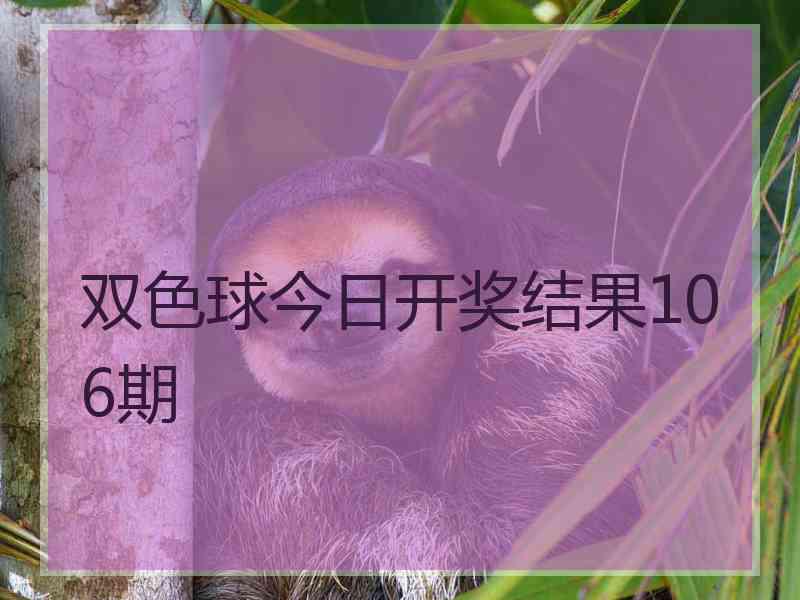 双色球今日开奖结果106期