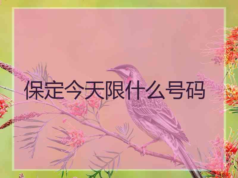 保定今天限什么号码