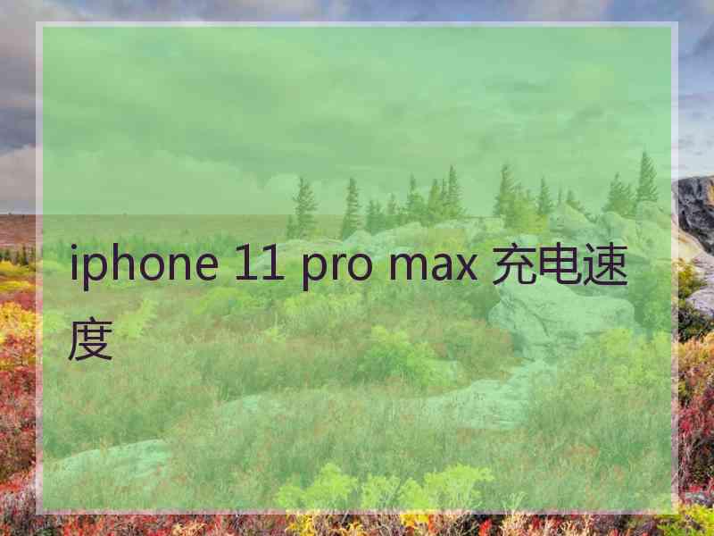 iphone 11 pro max 充电速度