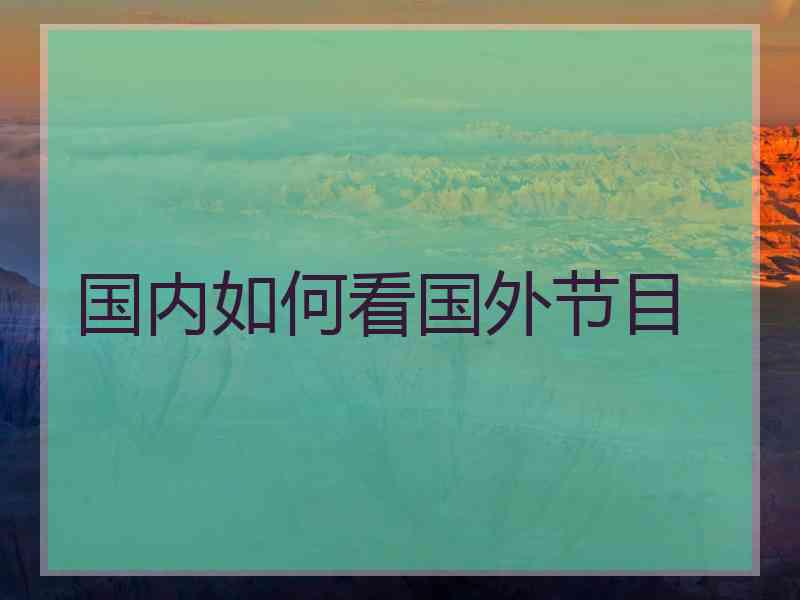 国内如何看国外节目