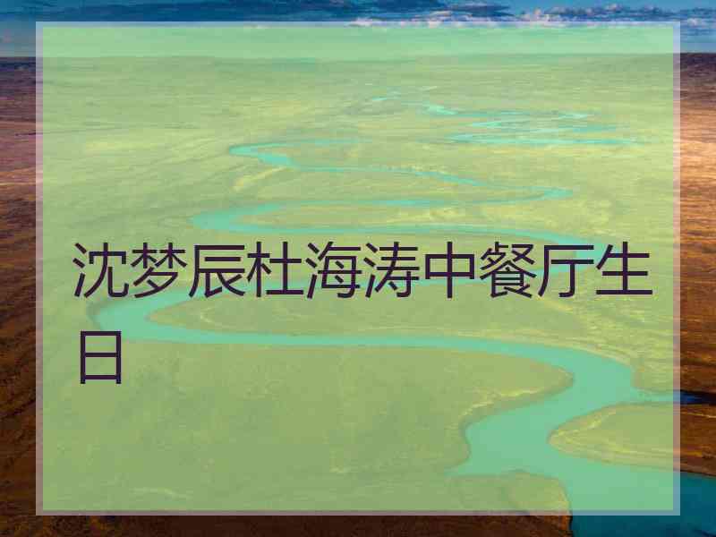 沈梦辰杜海涛中餐厅生日