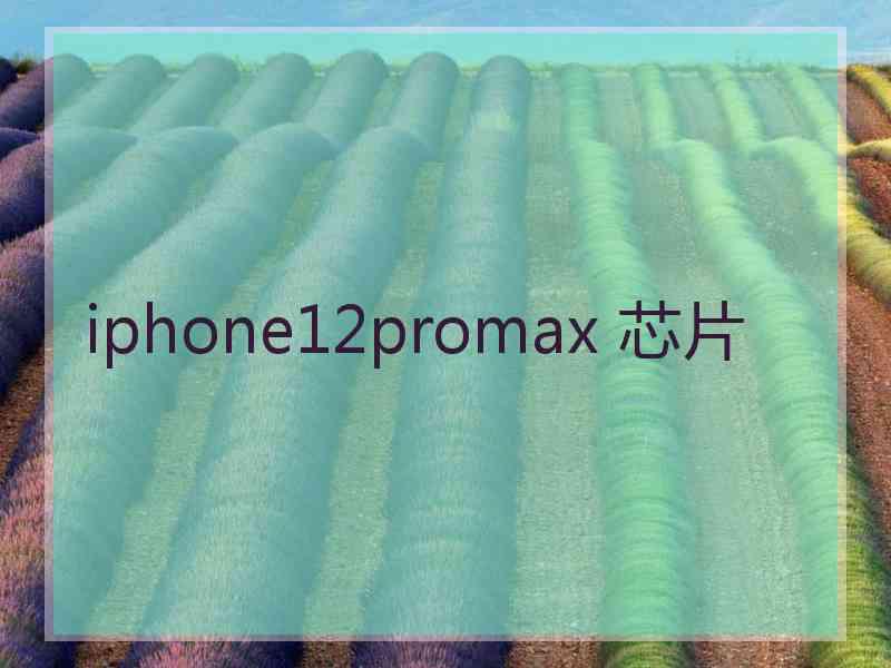 iphone12promax 芯片