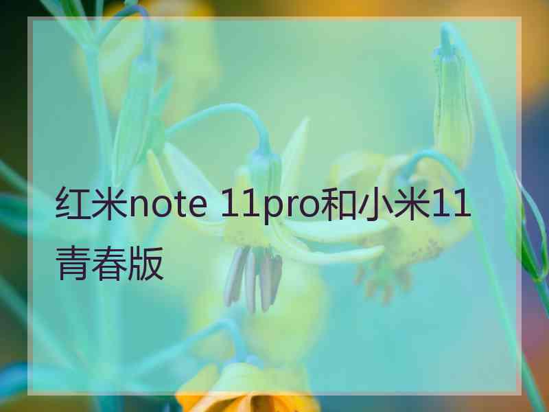 红米note 11pro和小米11青春版