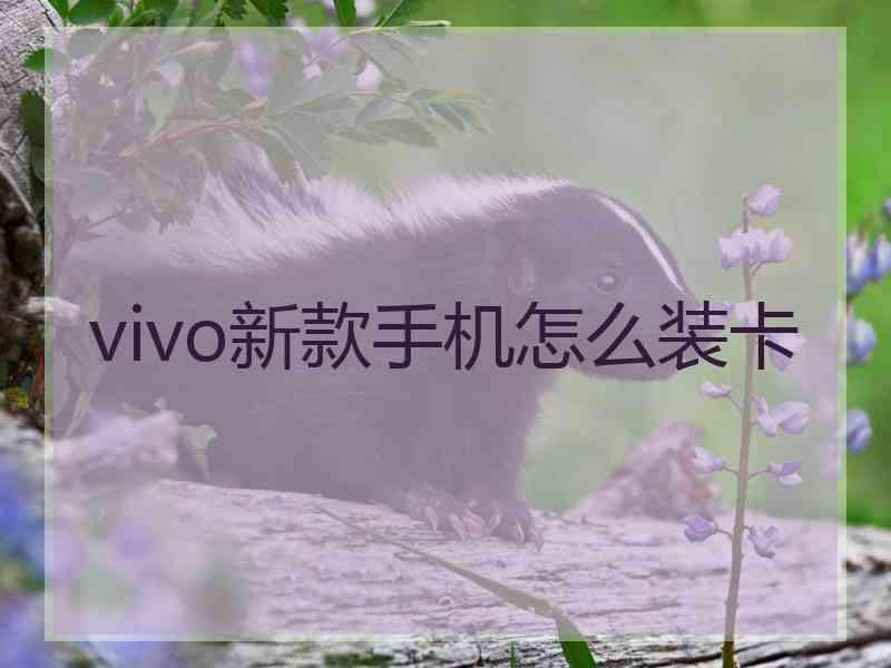 vivo新款手机怎么装卡