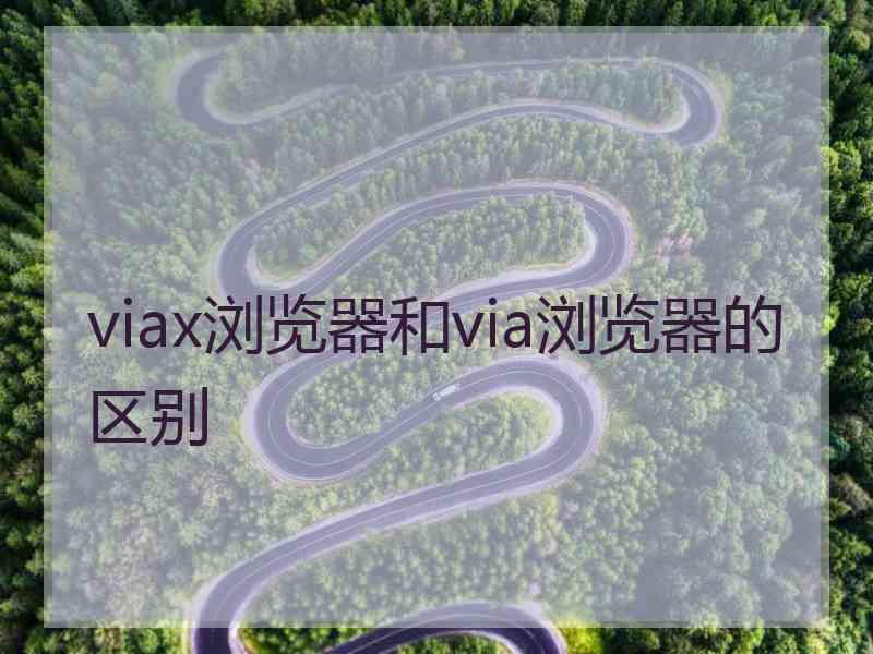 viax浏览器和via浏览器的区别