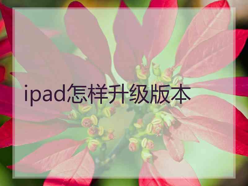 ipad怎样升级版本