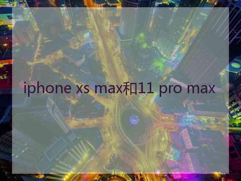 iphone xs max和11 pro max