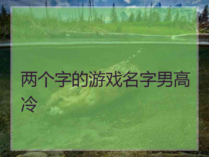 两个字的游戏名字男高冷