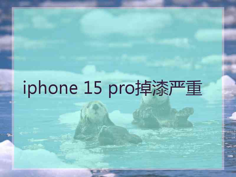 iphone 15 pro掉漆严重