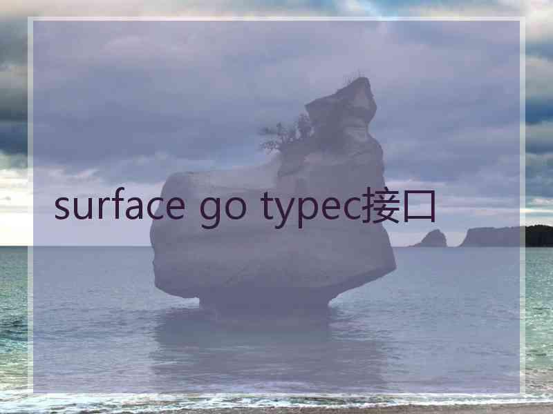 surface go typec接口