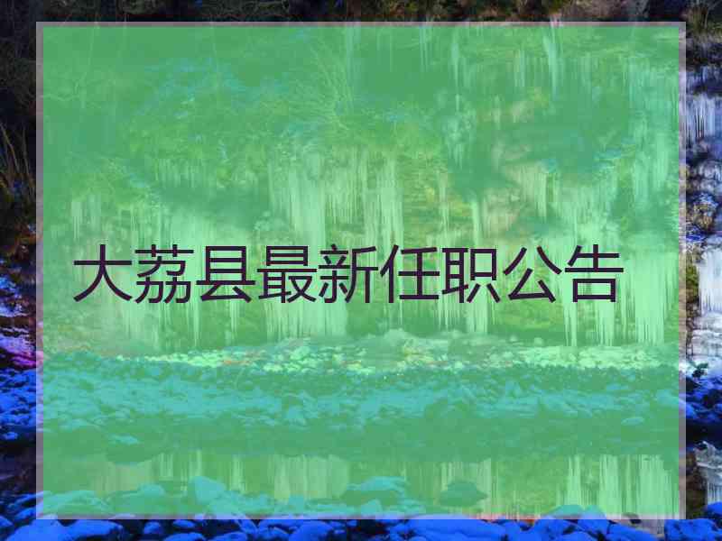 大荔县最新任职公告