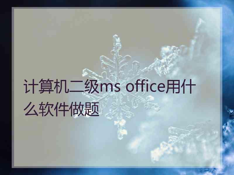 计算机二级ms office用什么软件做题