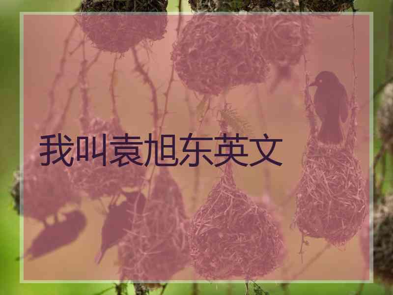 我叫袁旭东英文