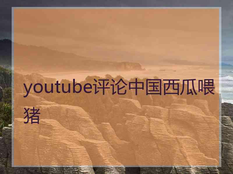 youtube评论中国西瓜喂猪