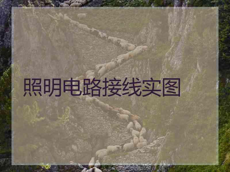 照明电路接线实图