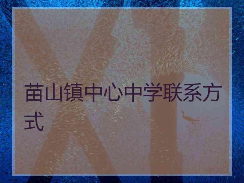 苗山镇中心中学联系方式