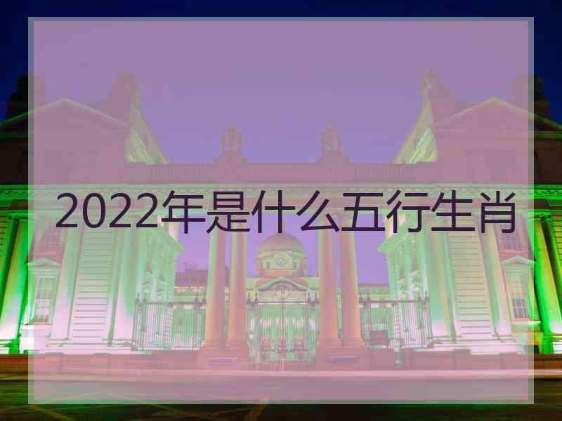 2022年是什么五行生肖