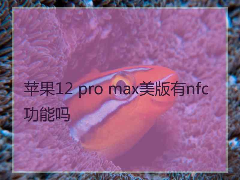 苹果12 pro max美版有nfc功能吗