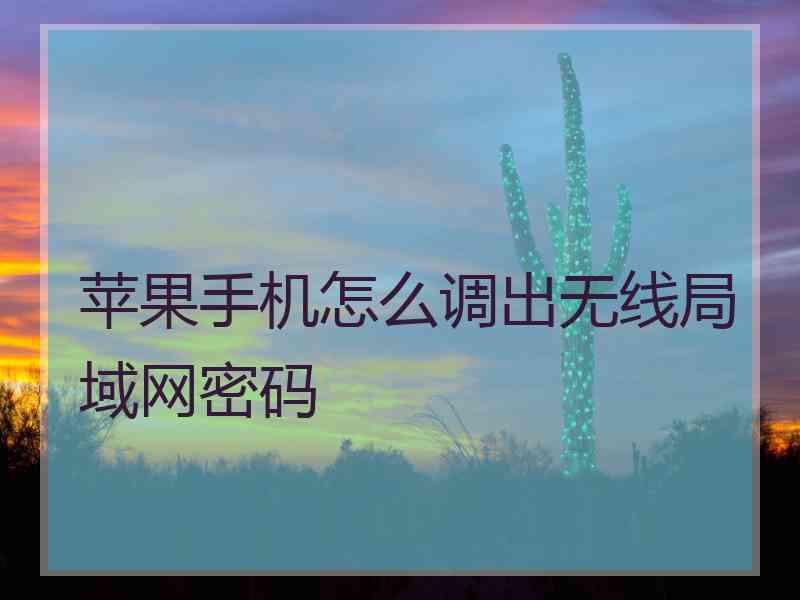 苹果手机怎么调出无线局域网密码