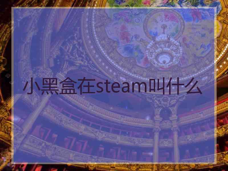 小黑盒在steam叫什么