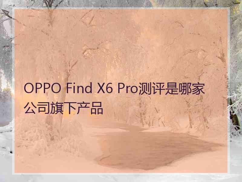 OPPO Find X6 Pro测评是哪家公司旗下产品