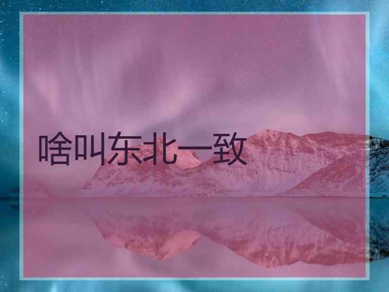 啥叫东北一致