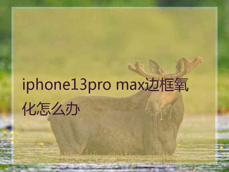 iphone13pro max边框氧化怎么办