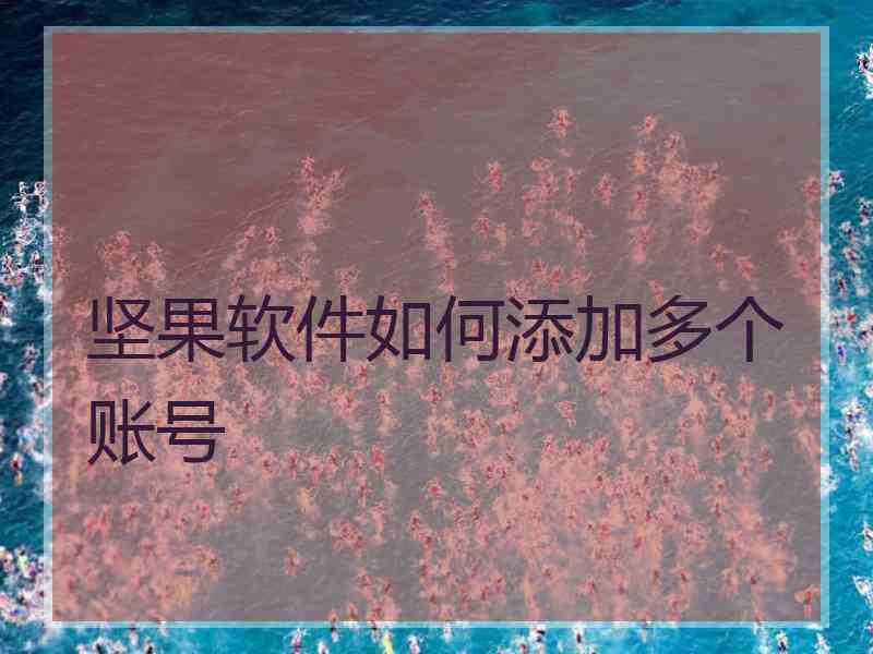 坚果软件如何添加多个账号