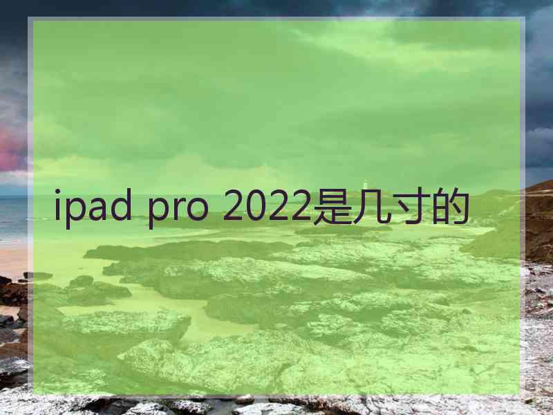 ipad pro 2022是几寸的