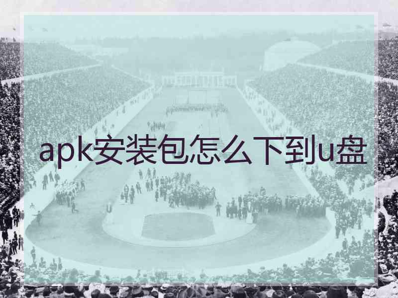 apk安装包怎么下到u盘