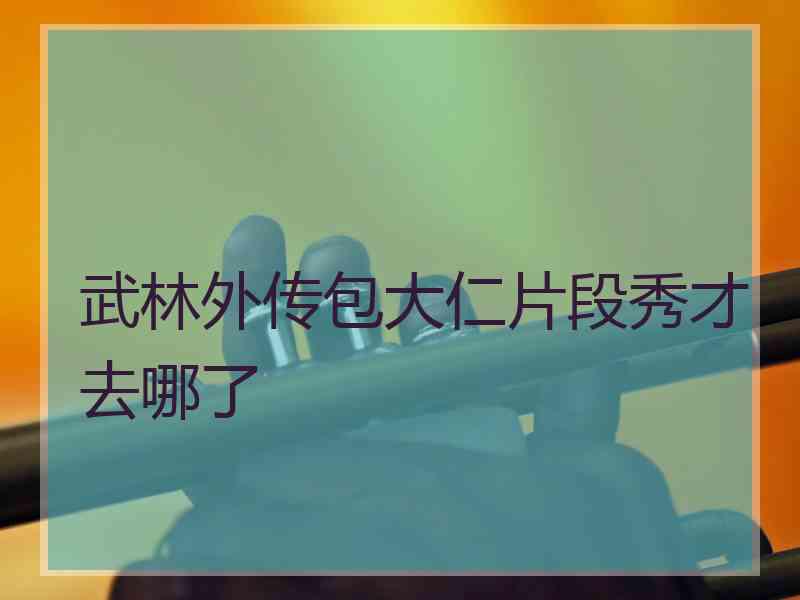 武林外传包大仁片段秀才去哪了