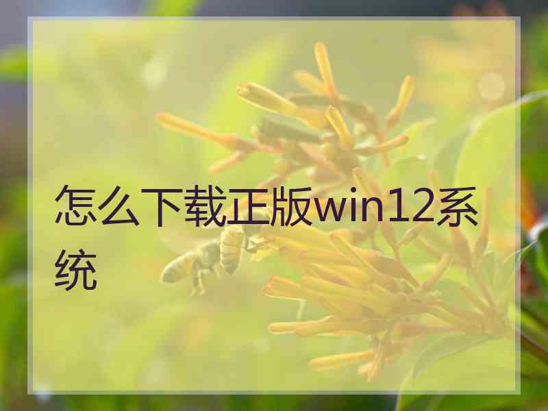 怎么下载正版win12系统