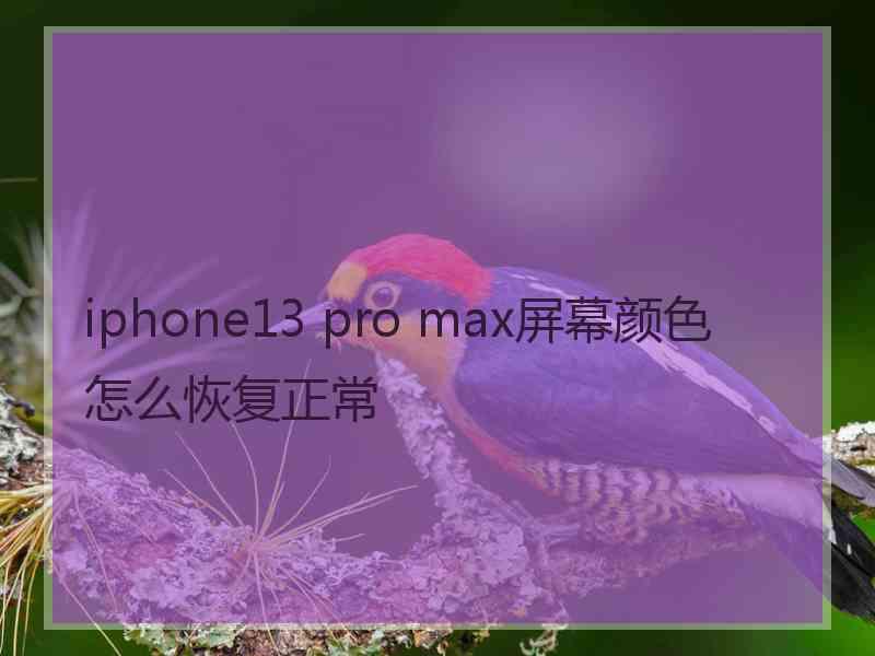 iphone13 pro max屏幕颜色怎么恢复正常