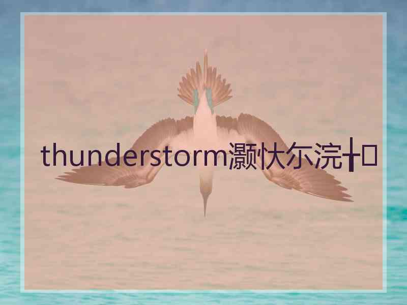 thunderstorm灏忕尓浣╁