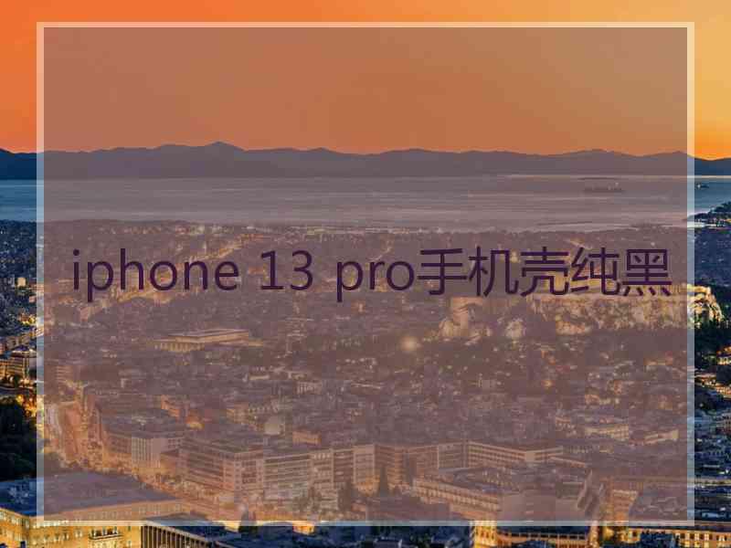 iphone 13 pro手机壳纯黑