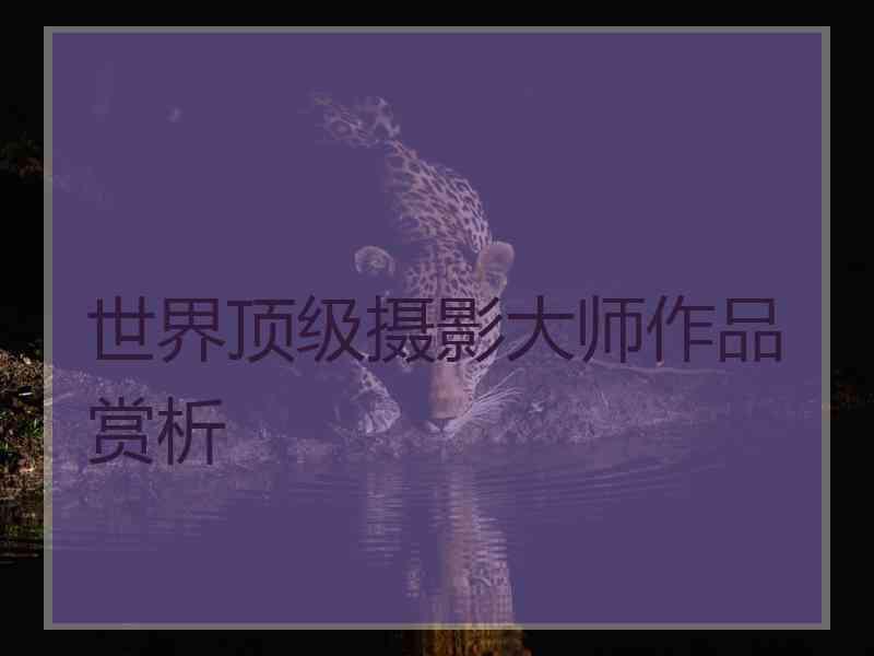 世界顶级摄影大师作品赏析