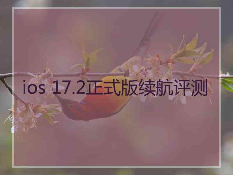 ios 17.2正式版续航评测