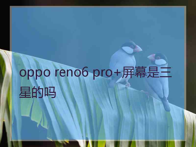 oppo reno6 pro+屏幕是三星的吗