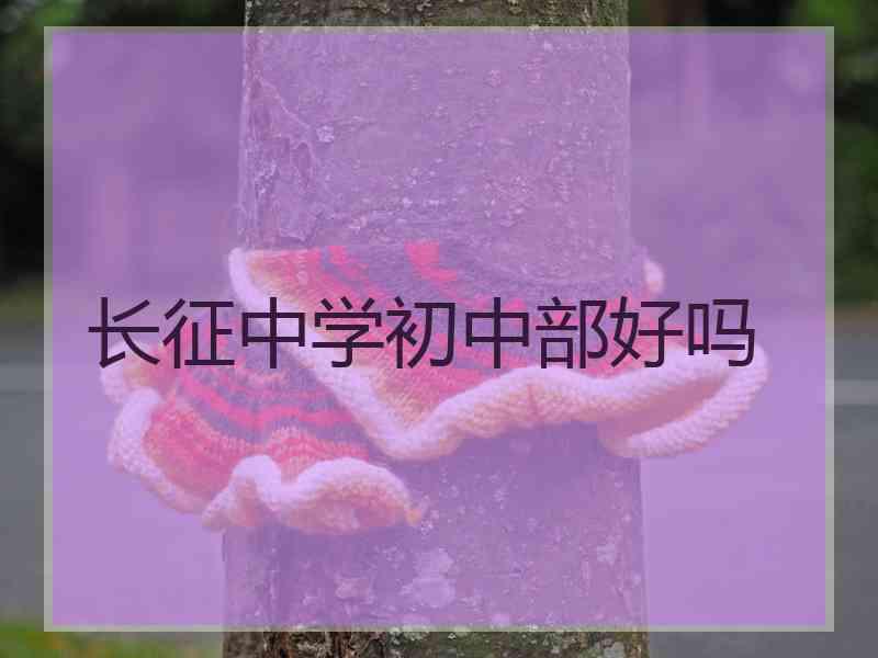 长征中学初中部好吗