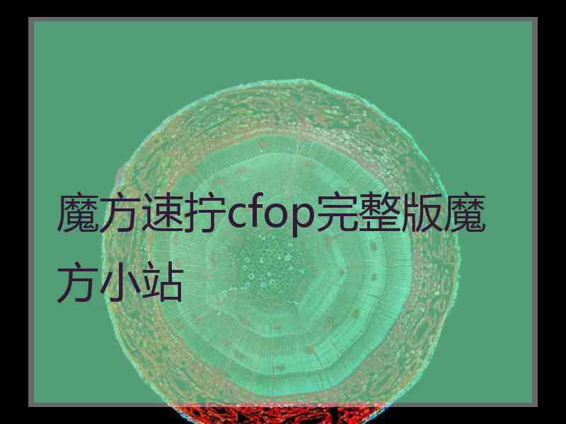 魔方速拧cfop完整版魔方小站