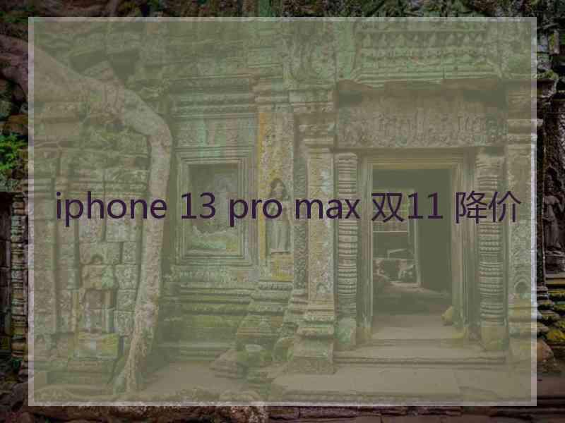 iphone 13 pro max 双11 降价