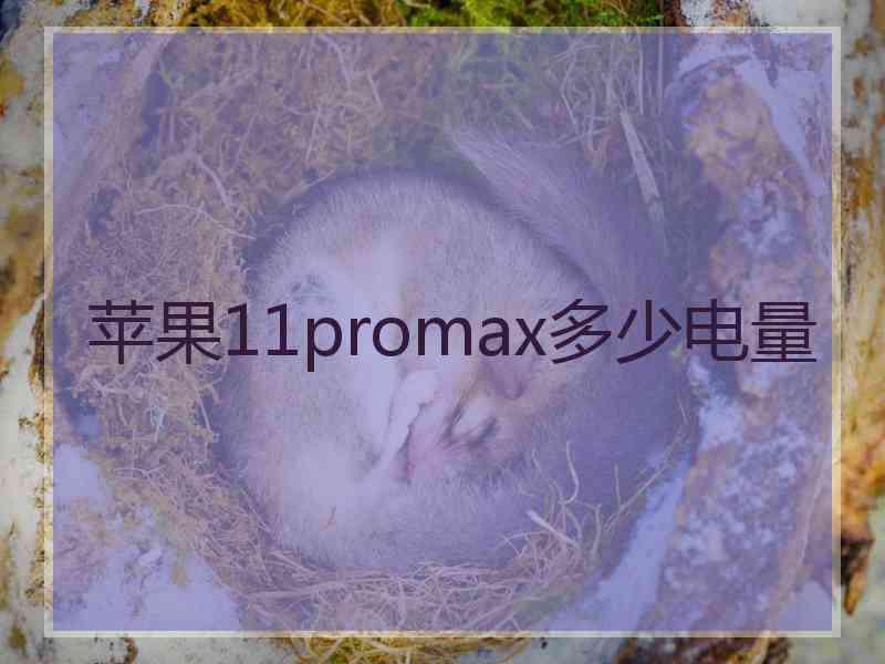 苹果11promax多少电量