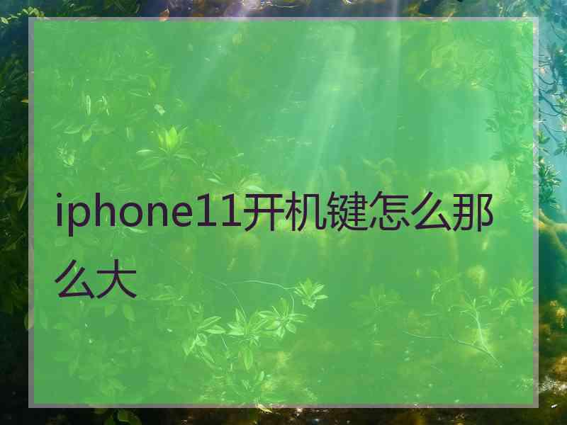 iphone11开机键怎么那么大