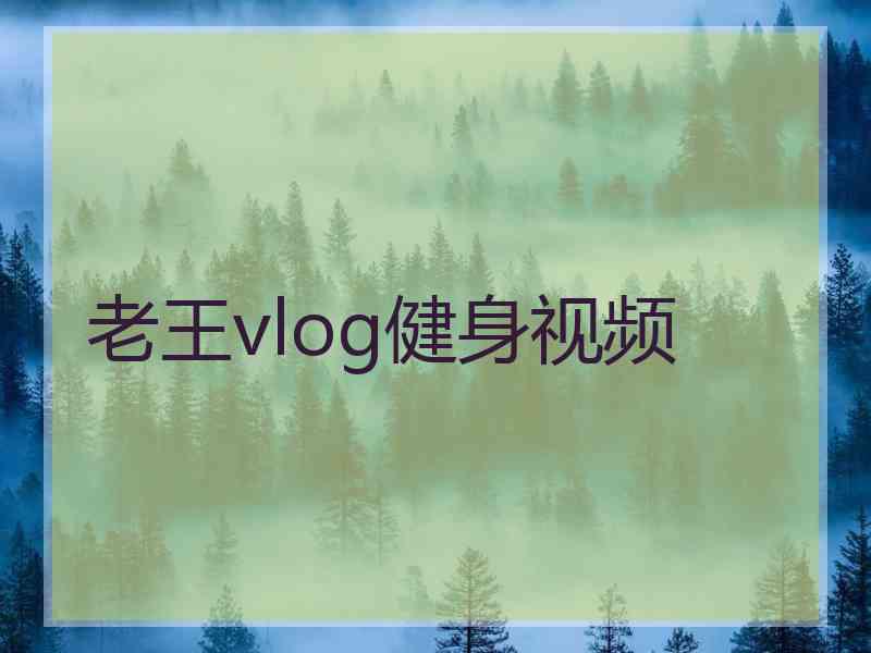 老王vlog健身视频