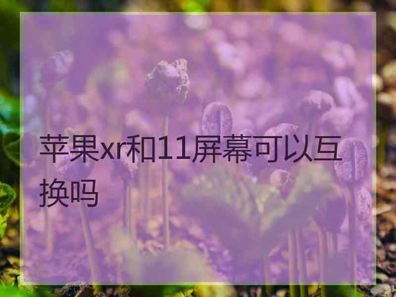 苹果xr和11屏幕可以互换吗