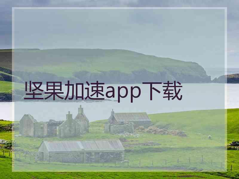 坚果加速app下载