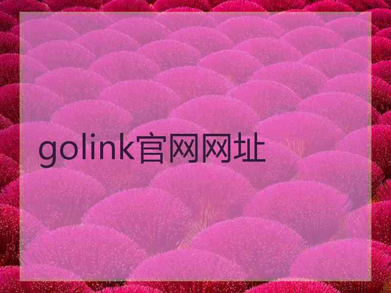 golink官网网址