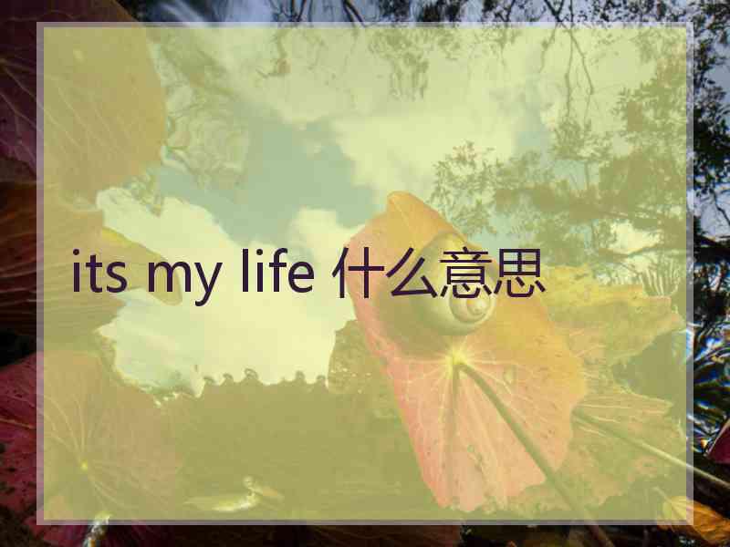 its my life 什么意思