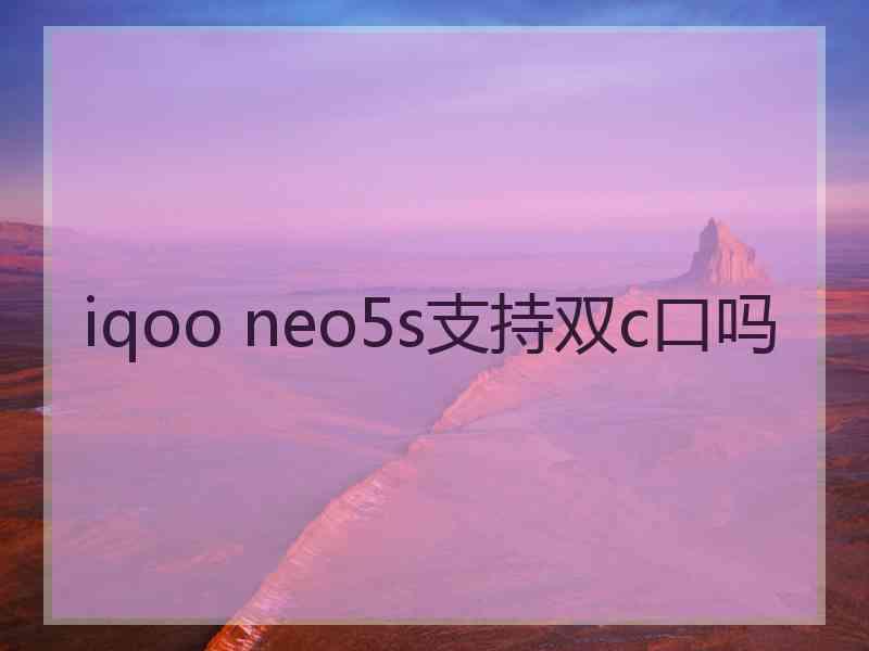 iqoo neo5s支持双c口吗