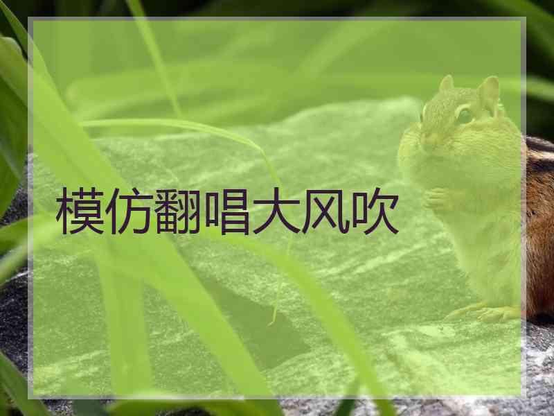 模仿翻唱大风吹